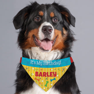 It's My Birthday Personalized Dog Bandana