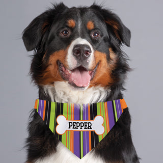 Halloween Bone Personalized Dog Bandana