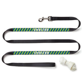 Personalized Striped Dog Leash