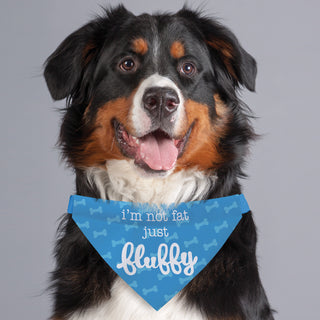 I'm Not Fat Just Fluffy Blue Dog Bandana