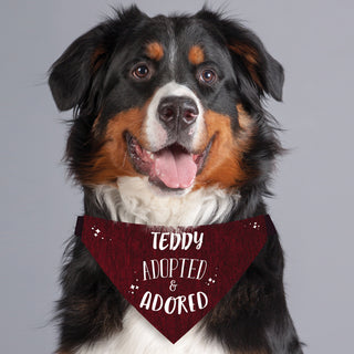 Personalized Adopted and Adored Pet Bandana