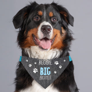 Personalized Big Brother Pet Bandana