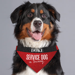Service Dog Personalized Pet Bandana