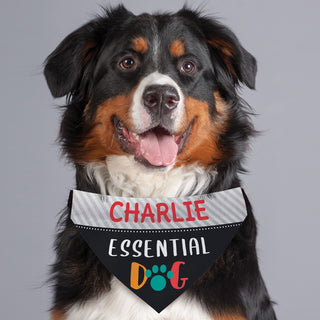 Essential Dog Personalized  Pet Bandana