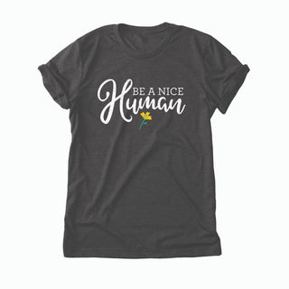 Be A Nice Human Ladies' Charcoal T-Shirt