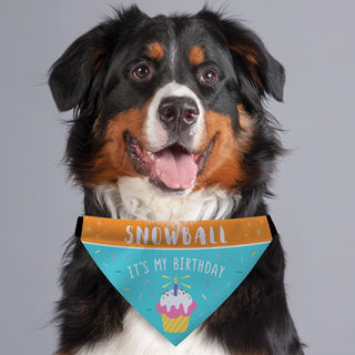 It's My Birthday Cupcake Personalized Pet Bandana