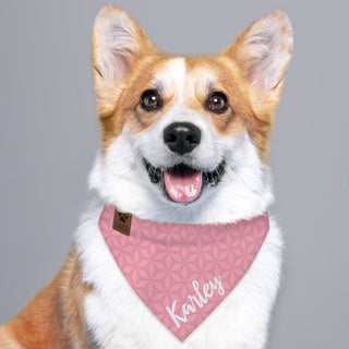 Pink pattern pet bandana with name 