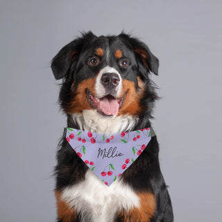 Cherry pattern pet bandana with name 