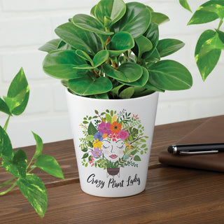 Colorful crazy plant lady ceramic flowerpot 