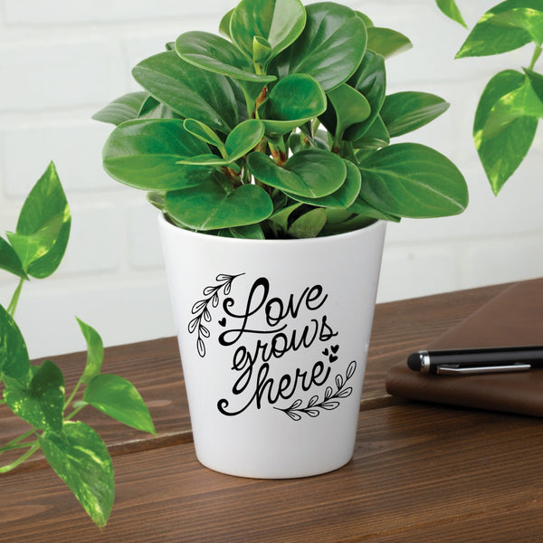 love grows here plant pot Love Grows Here Mini Flowerpot – Personalized Planet