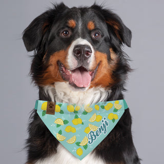 Lemon Pattern Pet Bandana