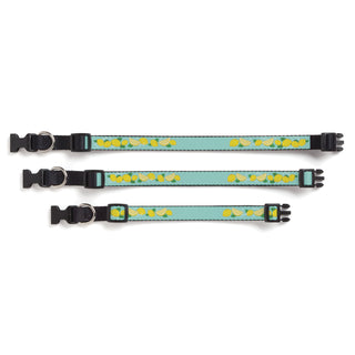 Lemon Pattern Pet Collar 16"-20" - Medium