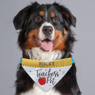 Teacher's Pet Dog Bandana